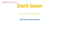 1.3.1,2. Qon tomir tizimi