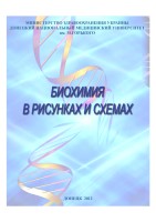 бхм3-УДК.ppt